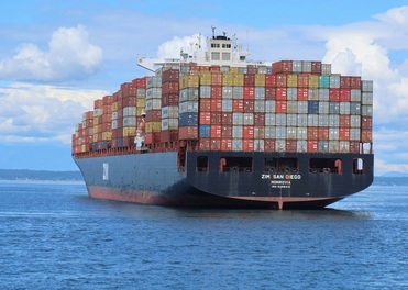 Brunoni Newsletter Photo